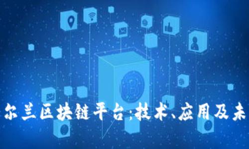 探秘爱尔兰区块链平台：技术、应用及未来前景