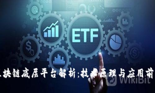 区块链底层平台解析：技术原理与应用前景