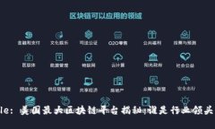 Title: 美国最大区块链平台揭秘：谁是行业领头羊