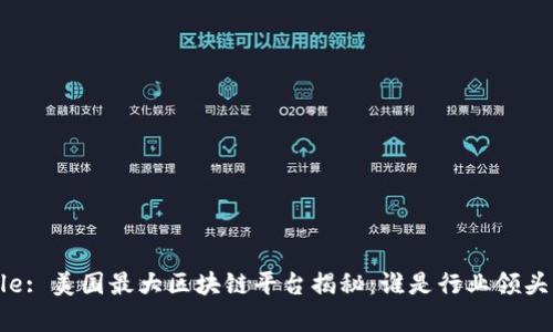 Title: 美国最大区块链平台揭秘：谁是行业领头羊？