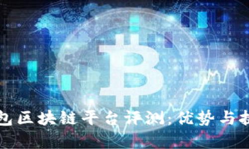 蚂蚁外包区块链平台评测：优势与挑战分析