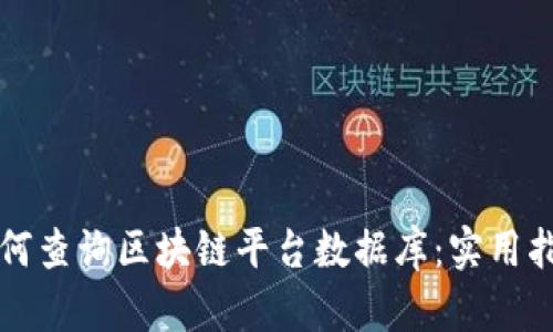 如何查询区块链平台数据库：实用指南