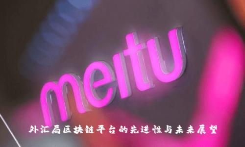 外汇局区块链平台的先进性与未来展望