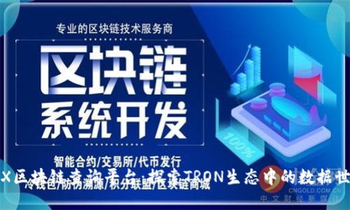 TRX区块链查询平台：探索TRON生态中的数据世界