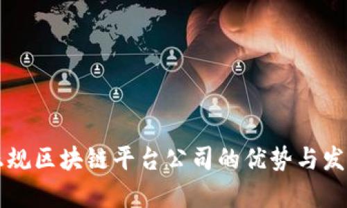 崇义正规区块链平台公司的优势与发展前景