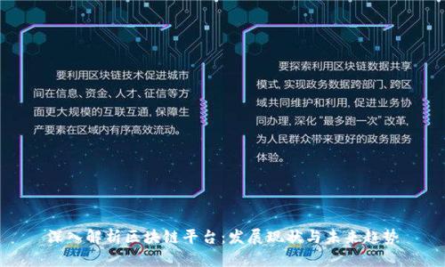 深入解析区块链平台：发展现状与未来趋势