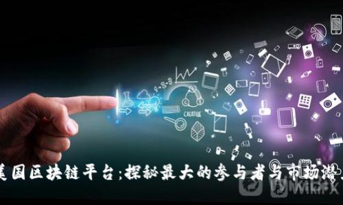 美国区块链平台：探秘最大的参与者与市场潜力