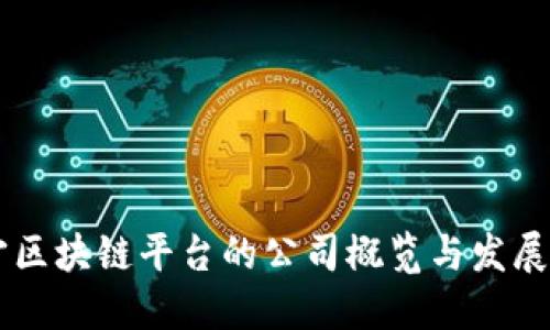 西宁区块链平台的公司概览与发展潜力