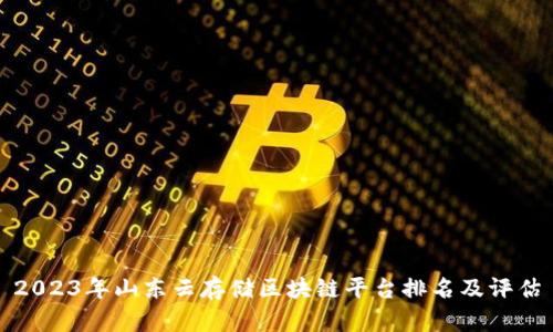 2023年山东云存储区块链平台排名及评估