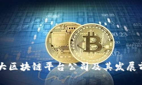 中国十大区块链平台公司及其发展前景分析