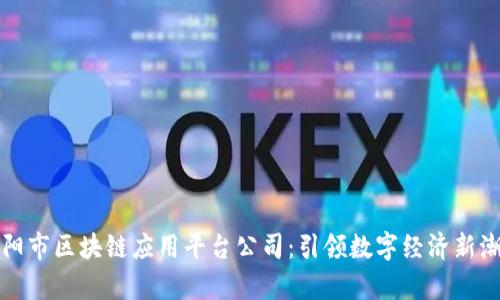 贵阳市区块链应用平台公司：引领数字经济新潮流