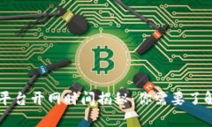 区块链平台开网时间揭秘：你需要了解的一切