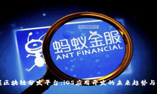 掌握区块链分发平台：iOS应用开发的未来趋势与挑战