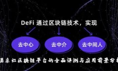 易采虹区块链平台的全面评测与应用前景分析