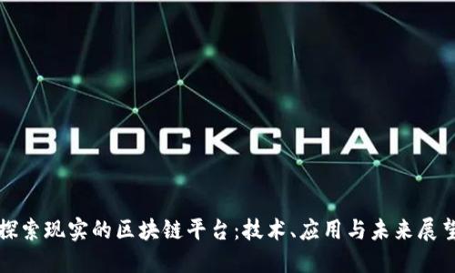 探索现实的区块链平台：技术、应用与未来展望