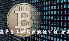 如何在平台上搭载区块链公链：全面指南