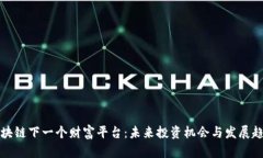 区块链下一个财富平台：未来投资机会与发展趋