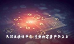 天硕区块链平台：重塑数字资产的未来
