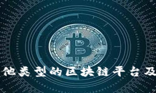 深入探讨其他类型的区块链平台及其应用前景