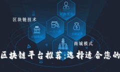 最佳区块链平台推荐：选择适合您的需求