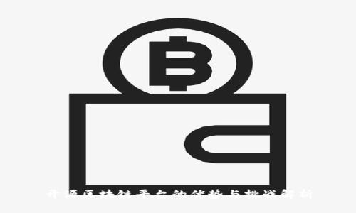 开源区块链平台的优势与挑战解析