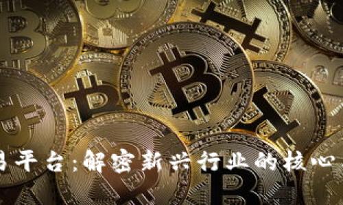 区块链交易平台：解密新兴行业的核心与未来发展