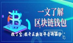 搜了宝：揭开区块链平台的面纱