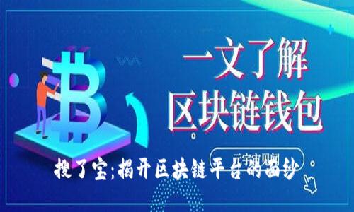 搜了宝：揭开区块链平台的面纱