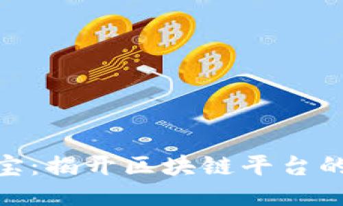 搜了宝：揭开区块链平台的面纱