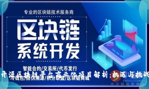 开源区块链平台商业化项目解析：机遇与挑战