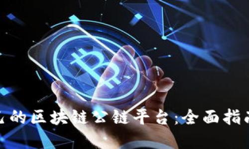 如何搭建自己的区块链公链平台：全面指南与实用步骤