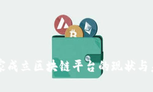 国家成立区块链平台的现状与未来
