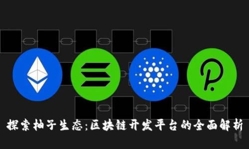 探索柚子生态：区块链开发平台的全面解析