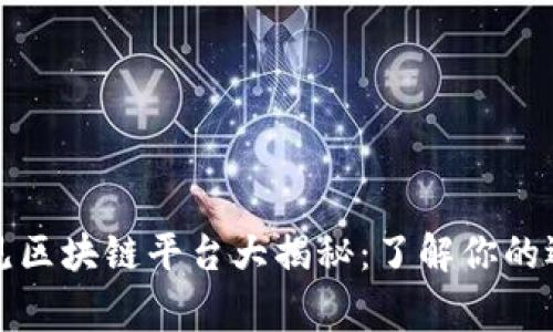 常见区块链平台大揭秘：了解你的选择