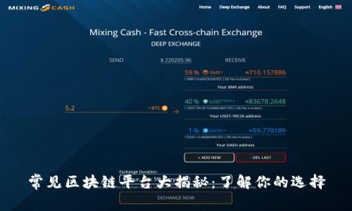 常见区块链平台大揭秘：了解你的选择