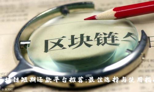 区块链短期还款平台推荐：最佳选择与使用指南