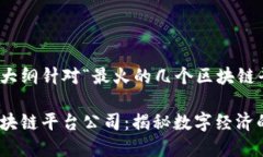 内容设计大纲针对“最火的几个区块链平台公司