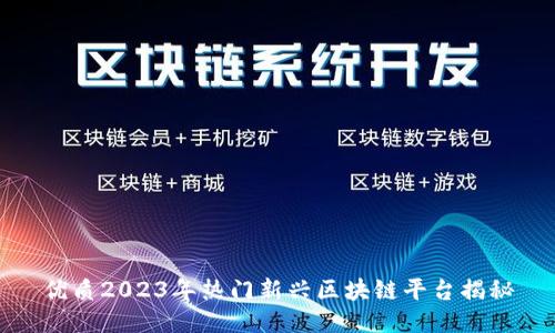 优质2023年热门新兴区块链平台揭秘