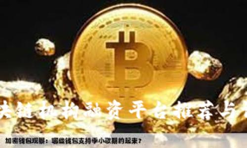 区块链机构融资平台推荐与评析
