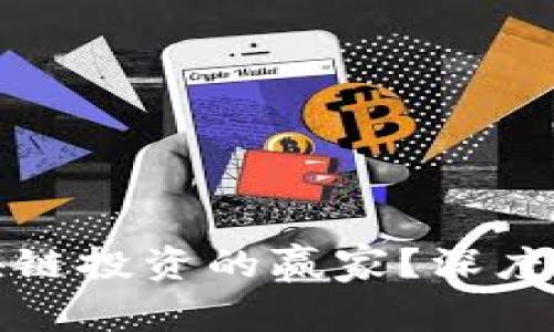 哪些平台是区块链投资的赢家？深度分析与实用指南