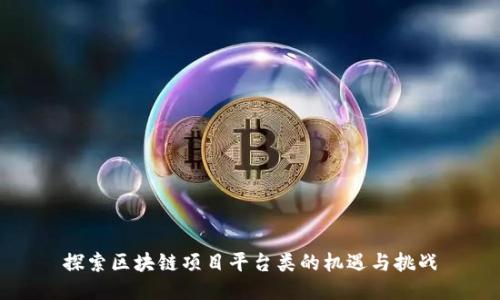 探索区块链项目平台类的机遇与挑战