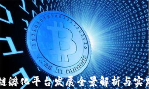 
区块链孵化平台发展全景解析与实践指南