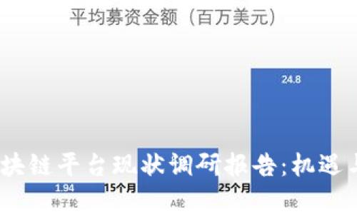 2023年区块链平台现状调研报告：机遇与挑战并存