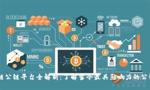 区块链公链平台全解析：了解当今最具影响力的公链项目