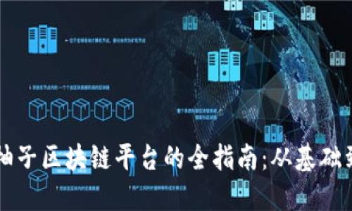 构建柚子区块链平台的全指南：从基础到实践