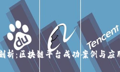深度剖析：区块链平台成功案例与应用前景