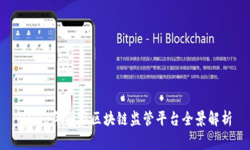 2023年国家区块链监管平台全景解析