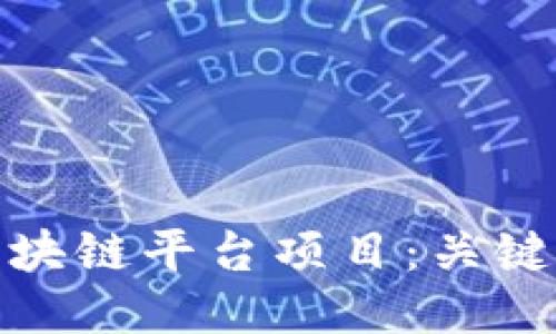 ```xml
如何有效运营区块链平台项目：关键要素与成功策略