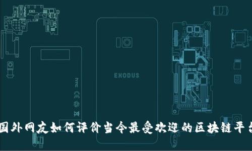 国外网友如何评价当今最受欢迎的区块链平台