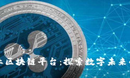 全球大企业区块链平台：探索数字未来的核心技术